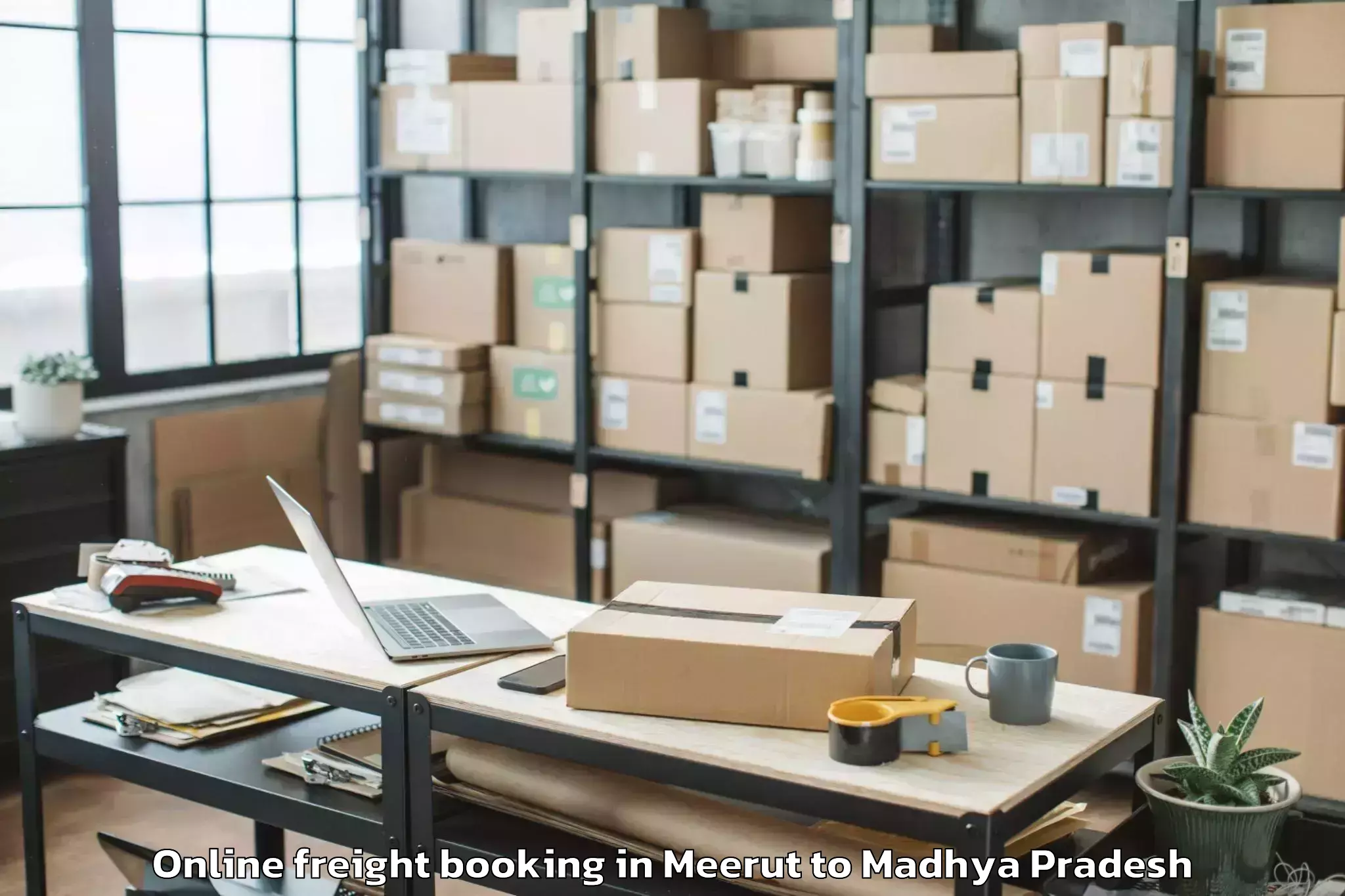 Trusted Meerut to Manawar Online Freight Booking